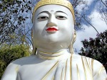 White Buddha