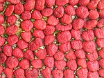 Thailand Strawberry