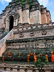 thai monks